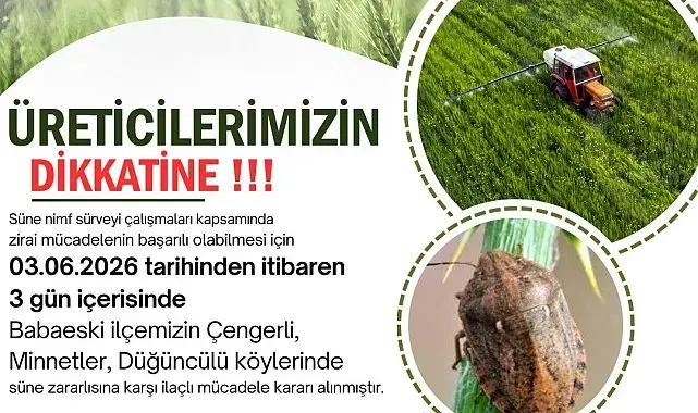 Kırklareli'nde süne zararlısına karşı ilaçlama uyarısı