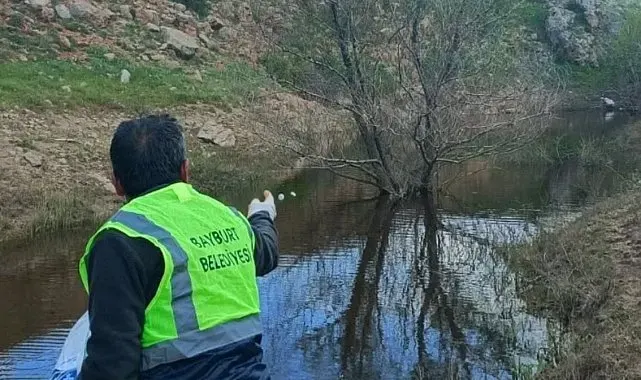 Bayburt'ta larva ilaçlaması ve temizlik çalışmaları sürüyor