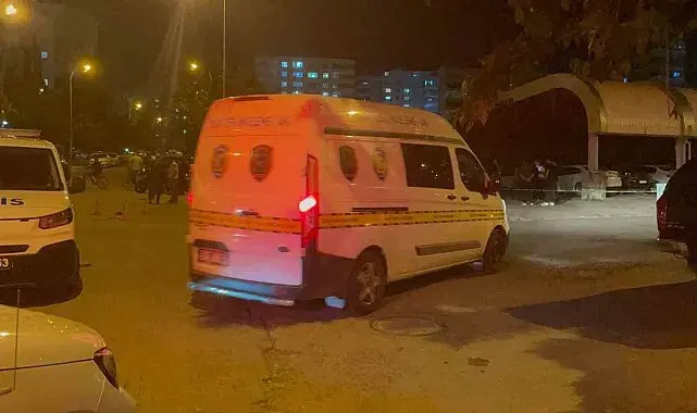 Şanlıurfa'da silahlı kavga: Anne öldü, oğlu yaralandı