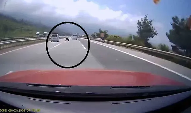Otobanda yola fırlayan angus korku dolu anlar yaşattı
