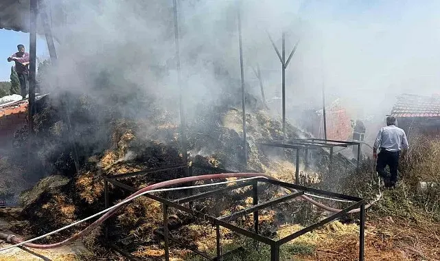 Bilecik'te iki köyde çıkan yangında çok miktarda saman balyası yandı