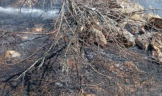 Bilecik'te köy yakınında ot yangını