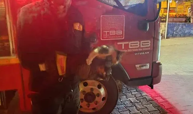 Motor kısmına sıkışan kedi için seferber oldular