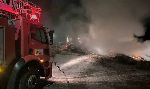 Van'da 2 bin 500 bağ ot yandı