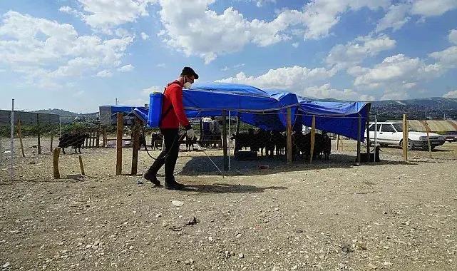 Kahramanmaraş'ta bayram temizliği ve ilaçlama çalışmaları sürüyor