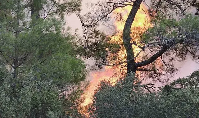 Muğla'daki orman yangınına müdahale devam ediyor