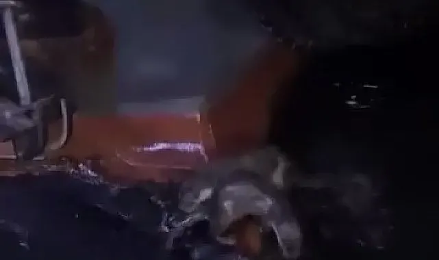Su samurlarının balık keyfi kamerada