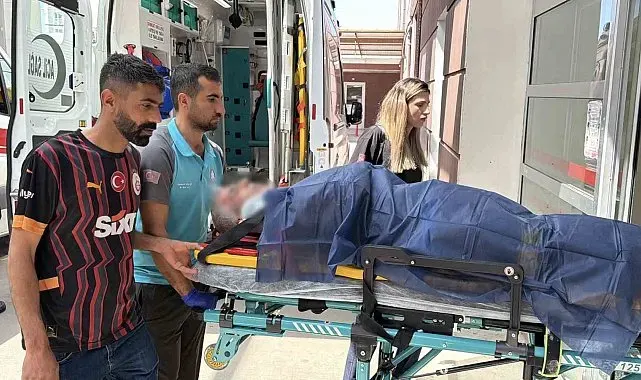 Adıyaman'da acemi kasaplar hastanelik oldu