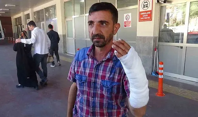 Şanlıurfa'da bayramın ilk gününde 232 acemi kasap hastanelik oldu