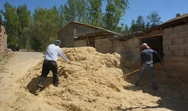 Erzincan'da çiftçinin kış hazırlığı sürüyor