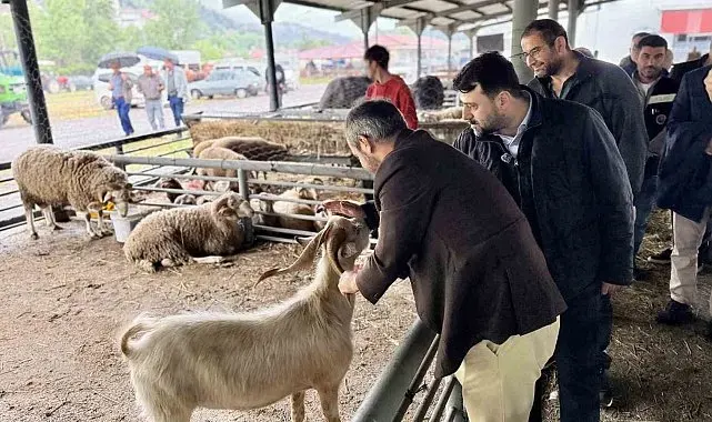 Şahin ve Çetinkaya'dan Kurban satış alanına ziyaret