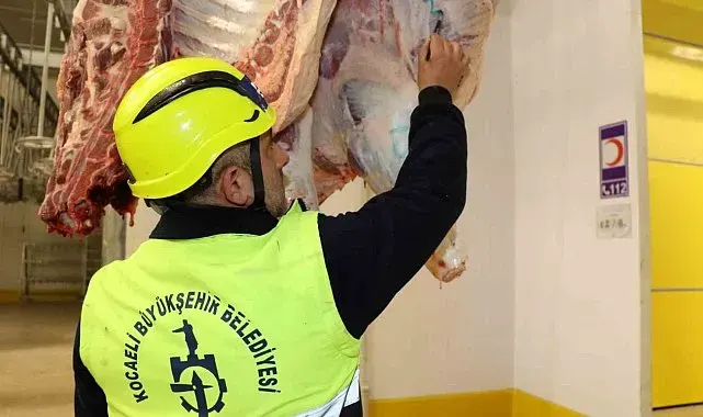 "Kistli organları çöpe atmayın, kedi ve köpeğe yedirmeyin" uyarısı