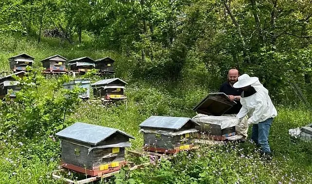 Düzce'de yıllık 502 ton üretiliyor