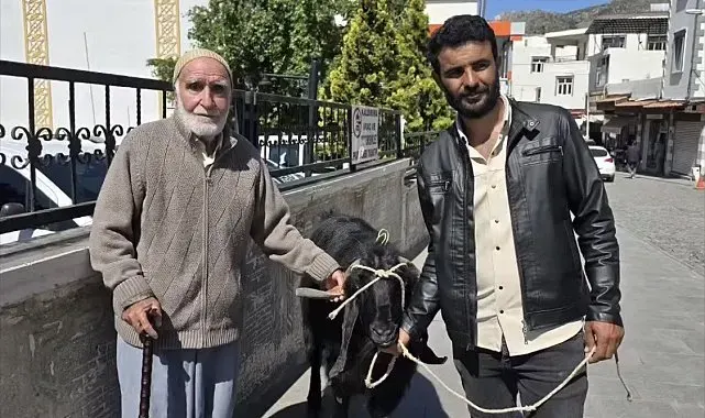 70 kiloluk dev keçi 36 bin liraya satıldı
