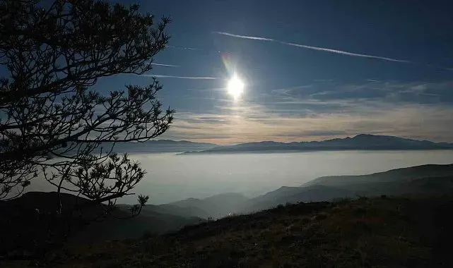 Erzincan Ovası "Pamuk Denizine" döndü