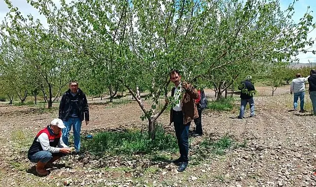 Elazığ'da dolu sonrası hasar tespiti yapıldı