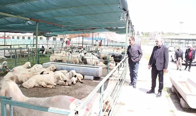MESOB Başkanı Keskin: "Canlı Hayvan Pazarı yeniden kamu malı olmalı"