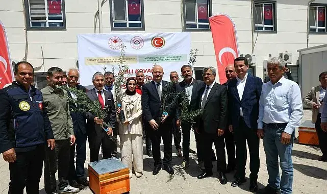Adıyaman'da çiftçilere zeytin fidanı ve arılı kovan desteği