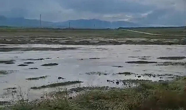 Günyüzü'de aşırı yağış sonucunda sel meydana geldi
