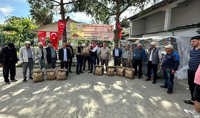 Koçarlı'da 3 bin kilo ayçiçeği tohumu üreticilere dağıtıldı