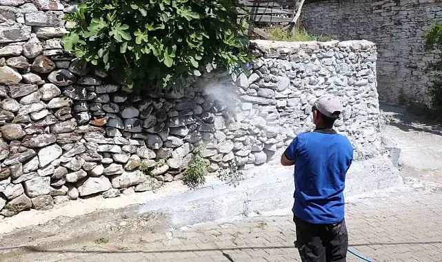 Bozdoğan'da haşereye karşı kireçleme çalışmaları sürüyor