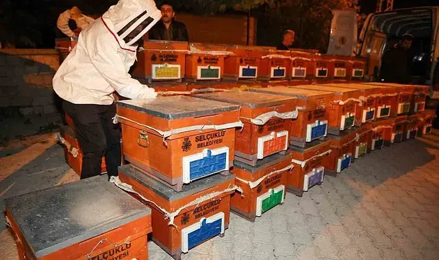 Selçuklu Belediyesi Arılı Kovan Desteği Projesi'ni 4. kez düzenledi