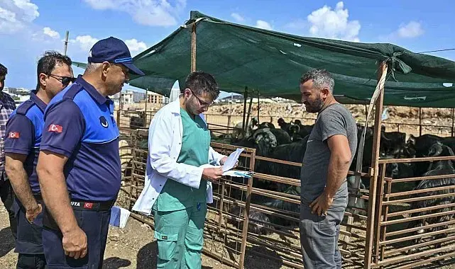 Muratpaşa'da Kurban Bayramı hazırlıkları tamamlandı