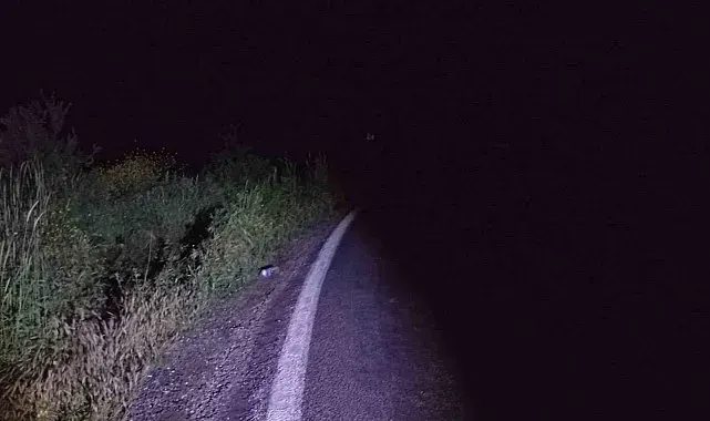 Bilecik'te motosiklet kazasında 1 kişi yaralandı