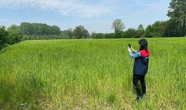 Düzce'de tarım arazileri uydu destekli denetleniyor