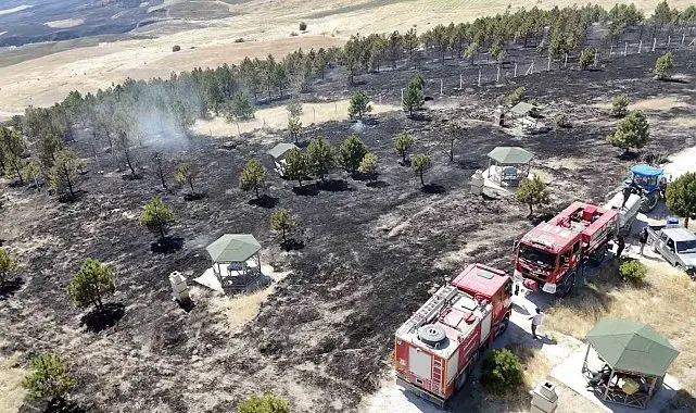 Çorum'da örtü yangını ormana sıçradı, 800 dönüm alan yandı