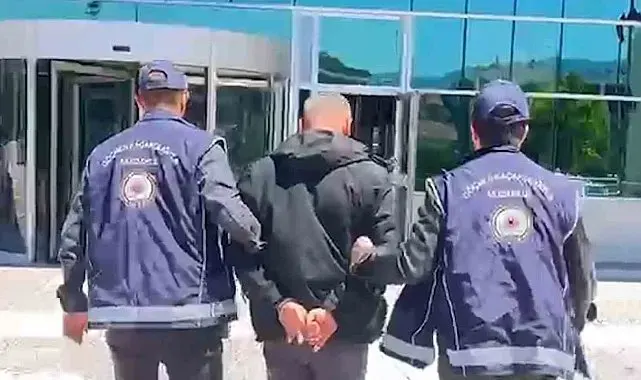 Bolu'da durdurulan kamyondan 10 düzensiz göçmen çıktı: Sürücü tutuklandı