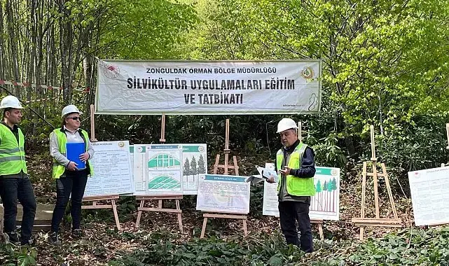Silvikültür eğitim tatbikatı Yenice'de tamamlandı