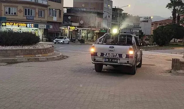 Yenipazar'da sivrisinek ve haşerelere karşı ilaçlama seferberliği