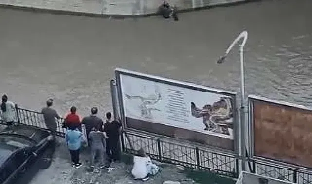 Artvin'de dereye düşen çocuk vatandaşların müdahalesiyle kurtarıldı