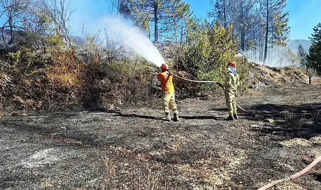 Hisarcık'ta otluk alanda çıkan yangın ormana sıçramadan söndürüldü