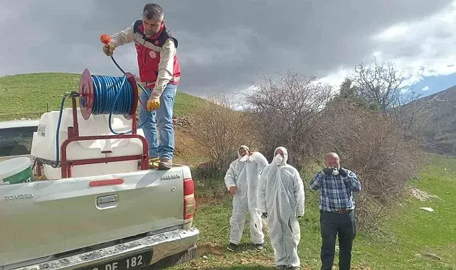 Gümüşhane'de çekirge istilasına uğrayan köyde ilaçlama çalışması başlatıldı