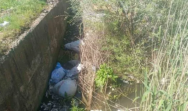 Gölbaşı'nda köylüler kanalların ilaçlanmasını istiyor