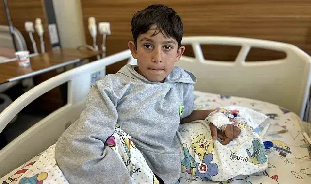 Van'da bir hafta arayla 3'üncü köpek saldırısı: 11 yaşındaki çocuk yaralandı