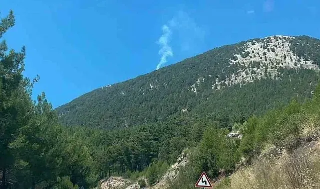 Fethiye'de orman yangını yangını kontrol altına alındı