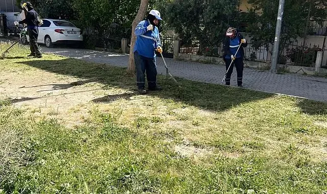Didim Belediyesi ekipleri ilçe genelindeki çalışmalarını sürdürüyor
