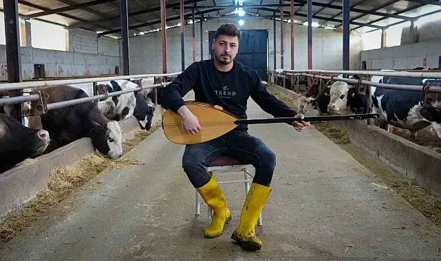 Ankaralı besici kurbanlık hayvanlarına saz çalıp, türkü söylüyor