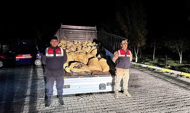 Van'da kaçak avlanan 800 kilo balık ele geçirildi