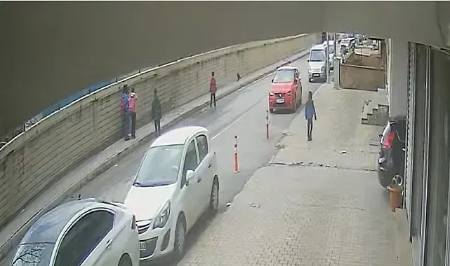 Öğrencilerin kurtarmaya çalıştığı yavru kuşu karga kaptı