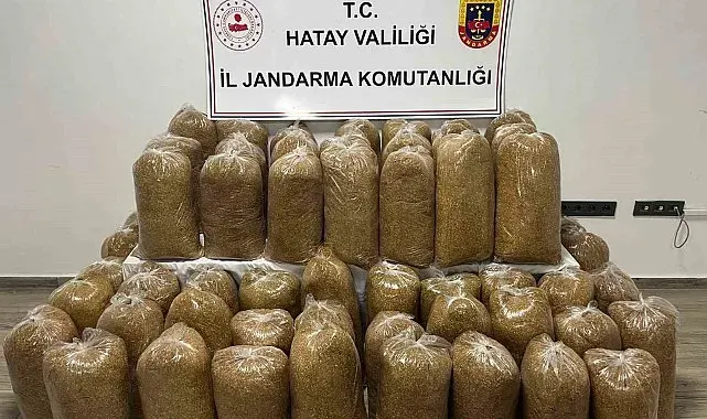 Hatay'da Jandarma'dan geniş çaplı asayiş operasyonu