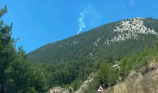 Fethiye'de orman yangını