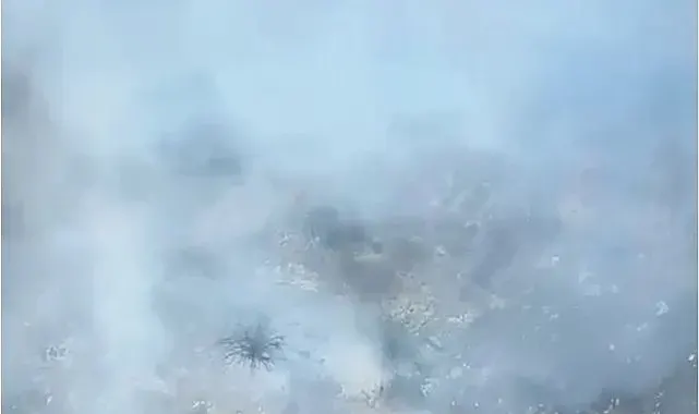 Alanya'nın iki ayrı mahallesindeki kısmen ormana sıçrayan yangın söndürüldü
