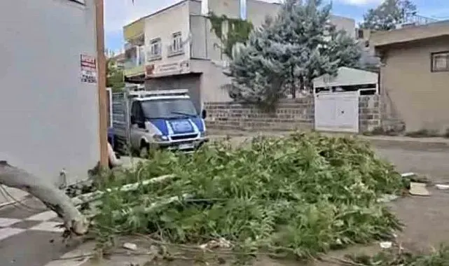 Siverek'te etkili olan fırtına, tarlada çalışan işçilere zor anlar yaşattı