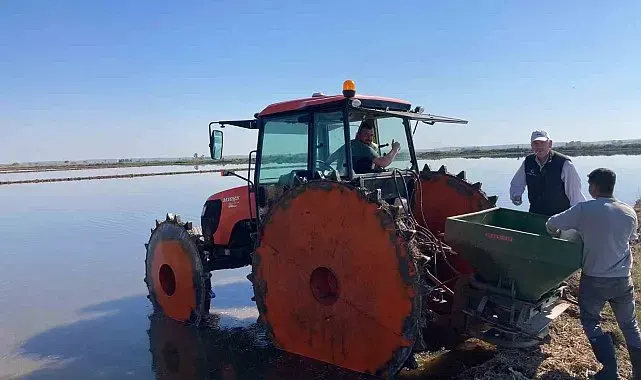 İpsala Ovası'nda çeltik ekim dönemi başladı