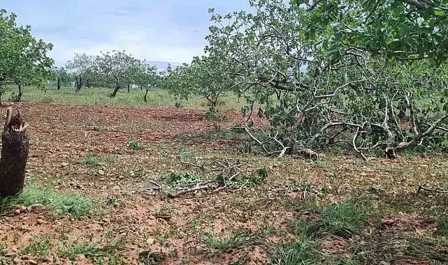 Gaziantep'te 'süper hücre' tarım alanlarını vurdu