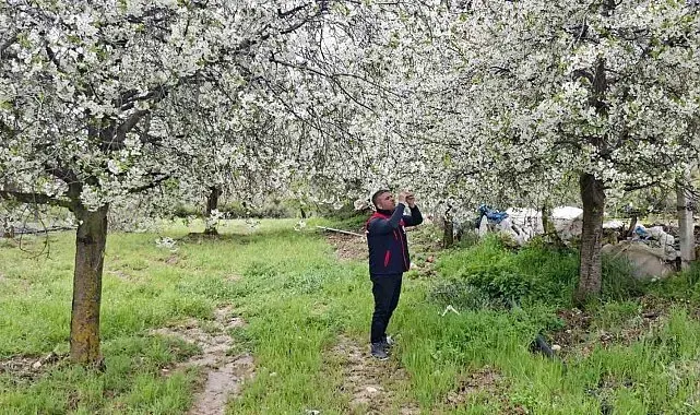 Zirai don uyarısı yapılan bölgelerde hasar tespit çalışması yapıldı